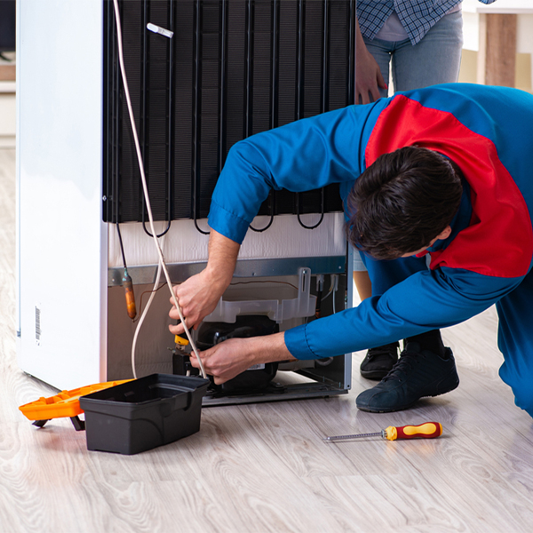 will the repair service cause any damage to my refrigerator in Douglas Michigan